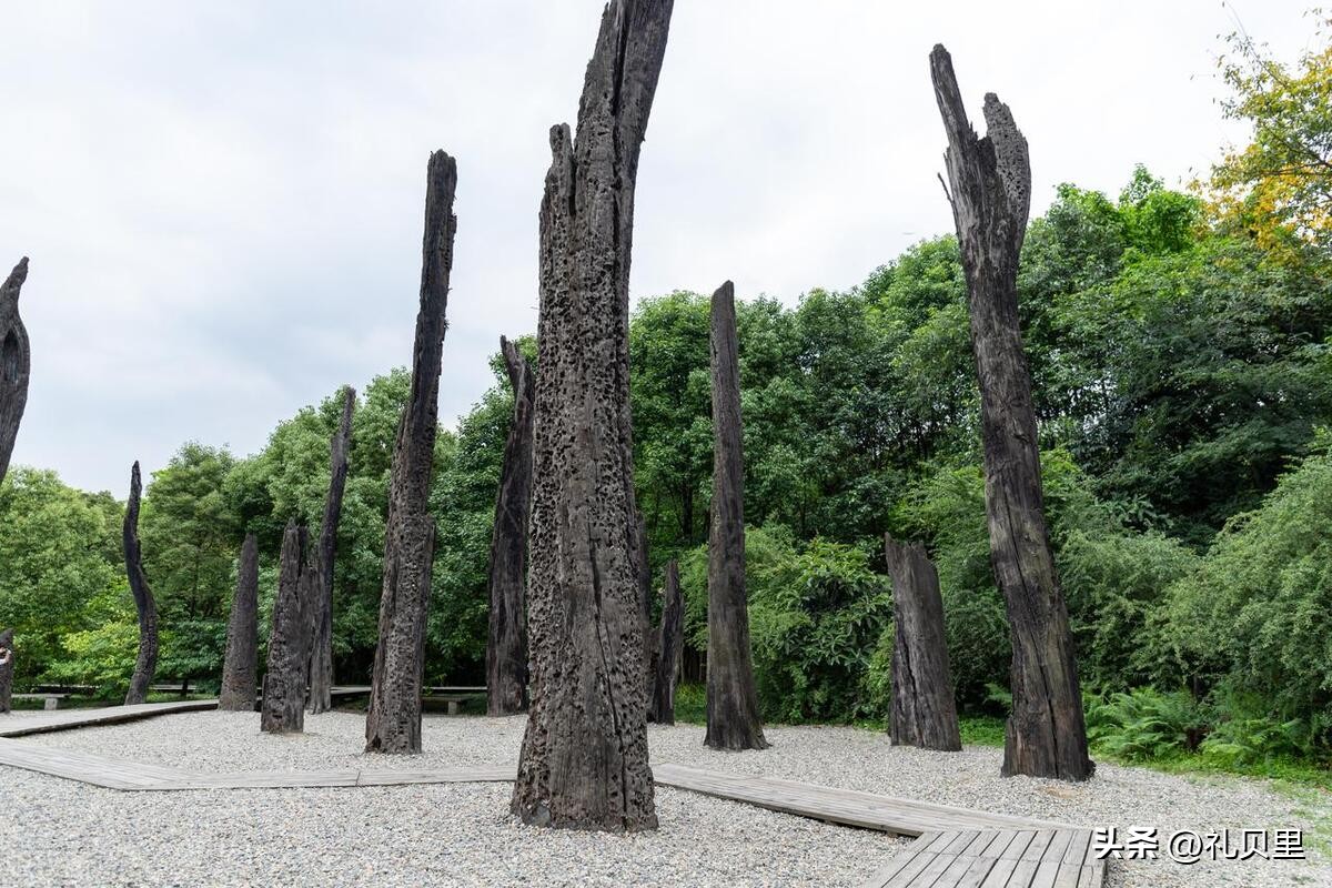 阴沉木桃木怎么辨别真伪,怎么辨别杉木阴沉木