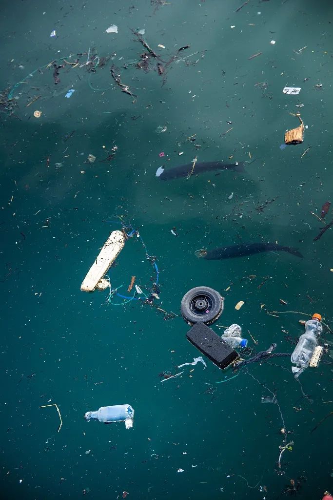 这个“垃圾大国”，真是让我开眼了