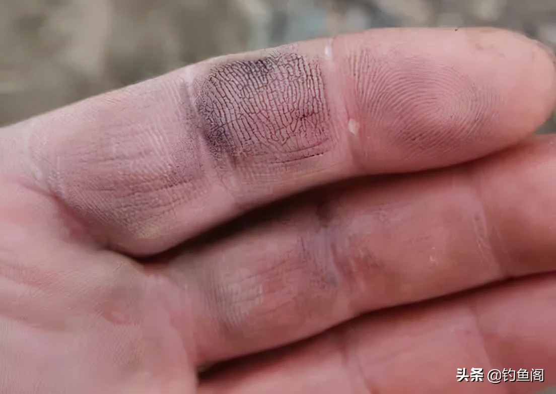 三秒钟ak47鱼竿怎么样,传统钓ak47用13米竿合适吗