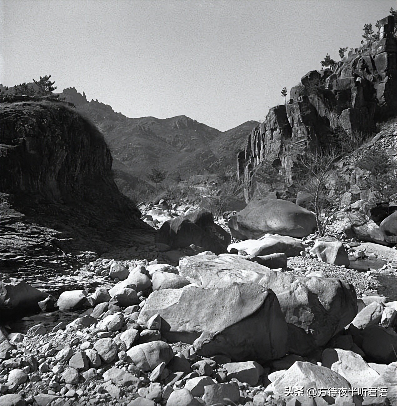 殊异之城：金石声穿过岁月的青岛留影