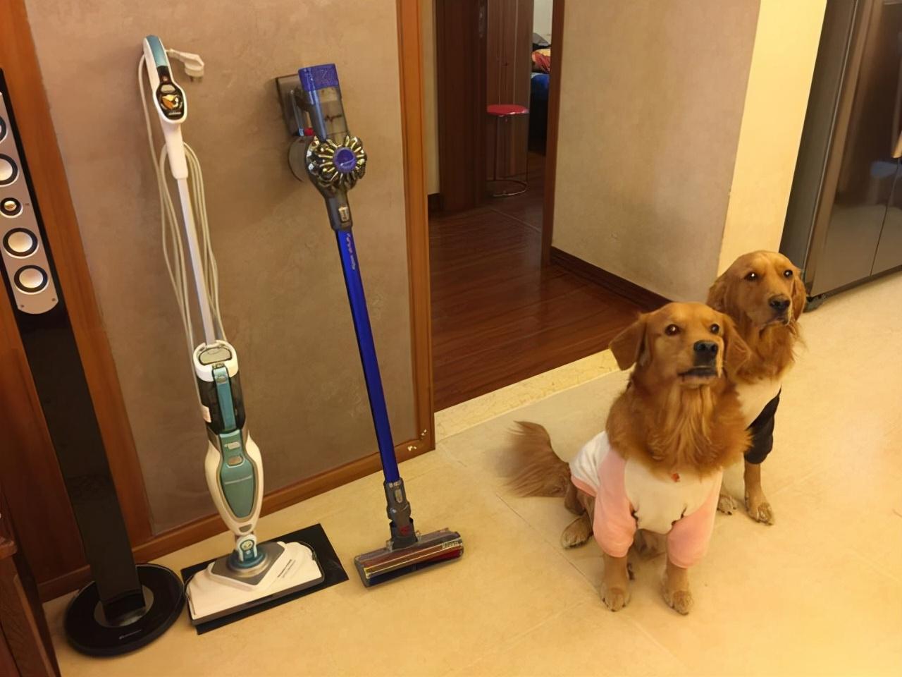 5个幸福感爆棚的家电,4个象征有钱人的家居物件