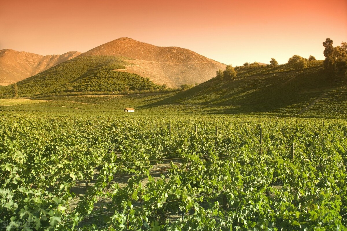 椋庢儏鍙ゅ反,椋庢儏鎷夌編