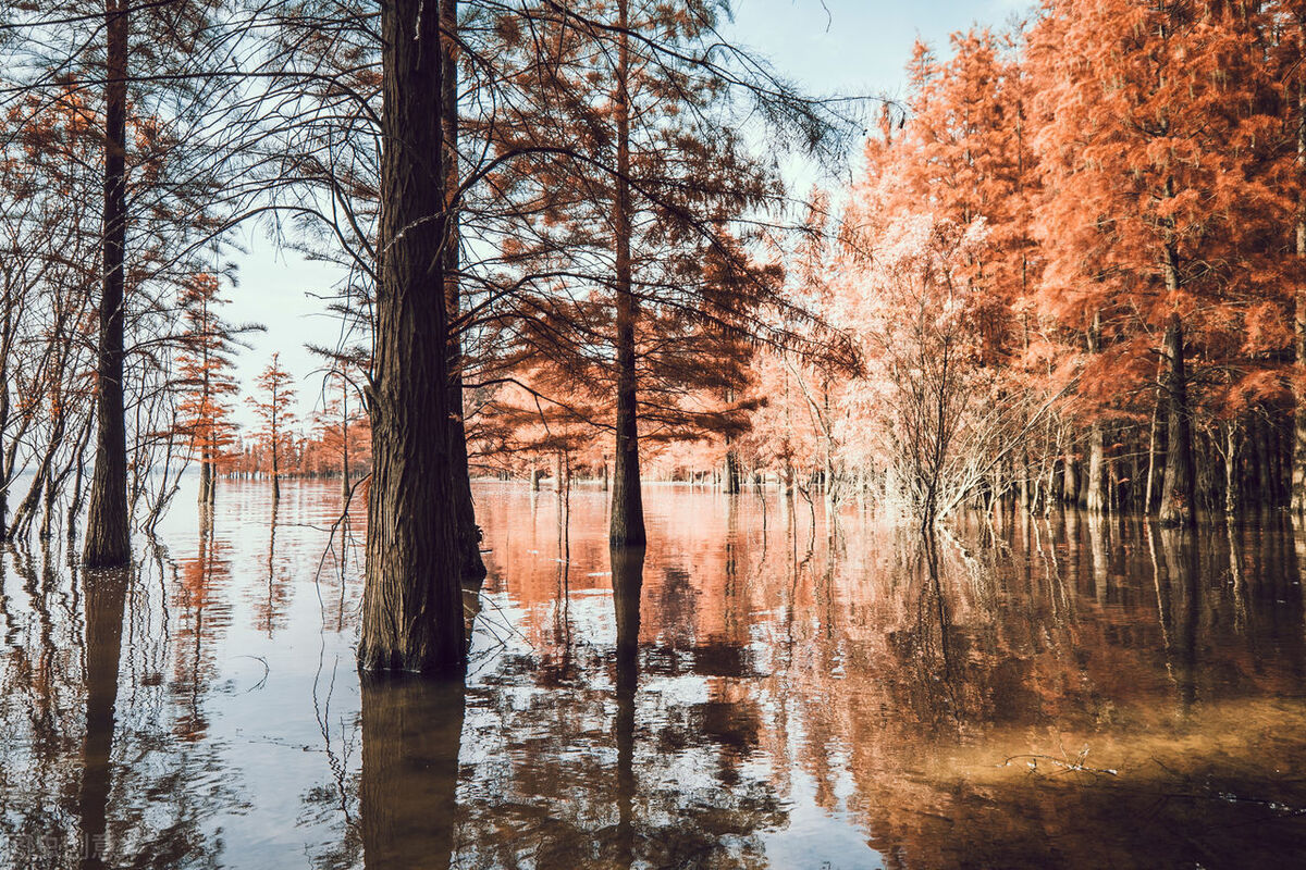 尿频尿痛前列腺炎吃什么中成药,尿频尿急前列腺炎有什么食疗方