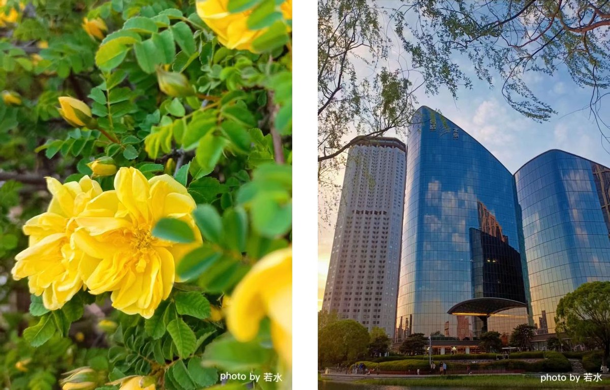 随手拍清晰横拍,手机拍照功能拍出好看的照片