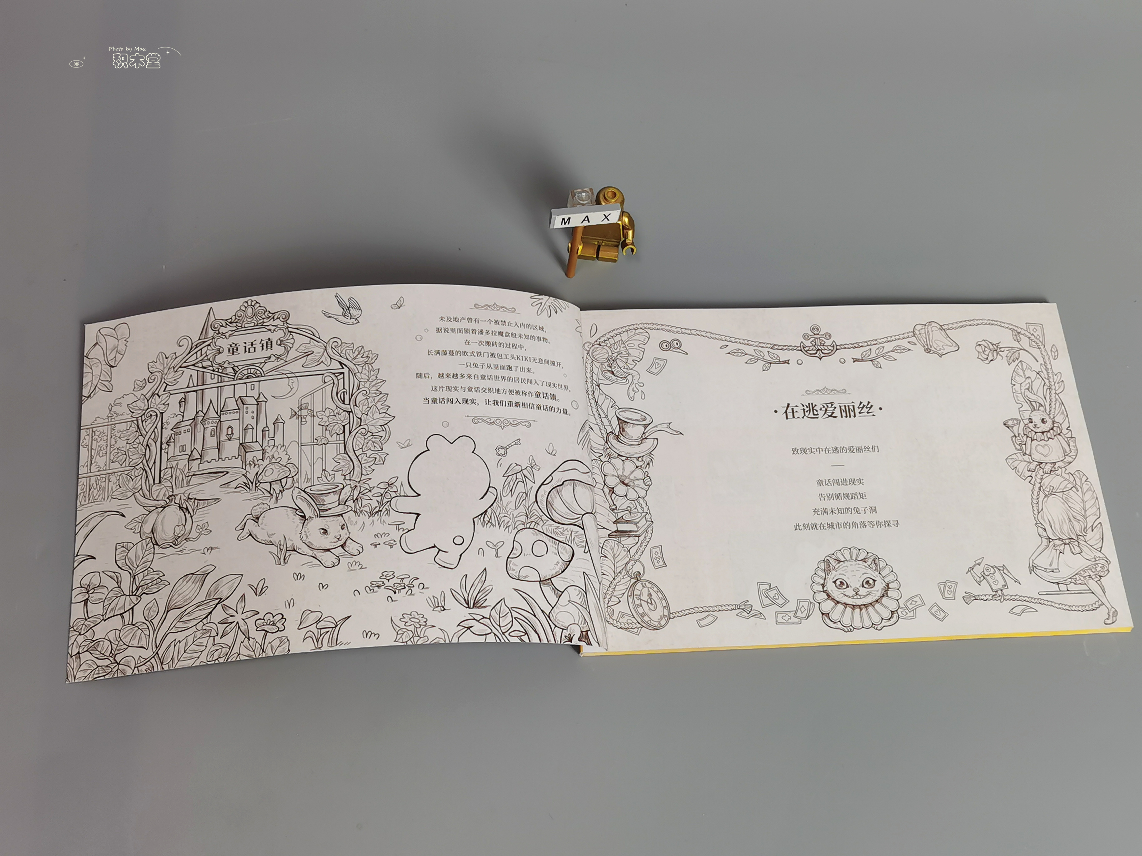 「体验」未及的众筹产品抢先看《在逃公主-爱丽丝》