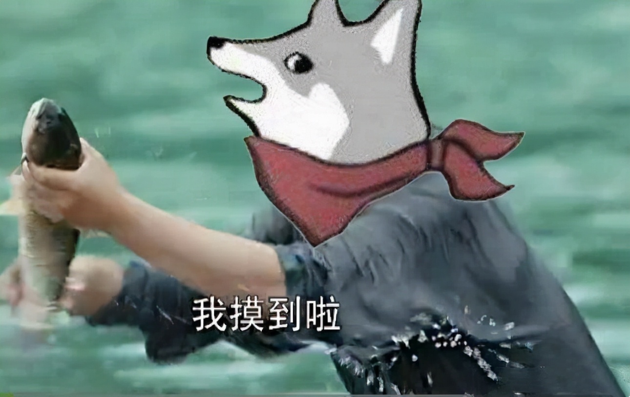 最近推荐游戏艾尔登法环,2020年度游戏艾尔登法环