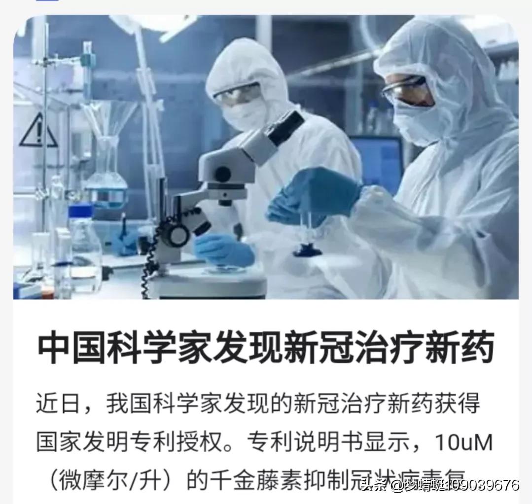 千金藤素：谁能主先锋？