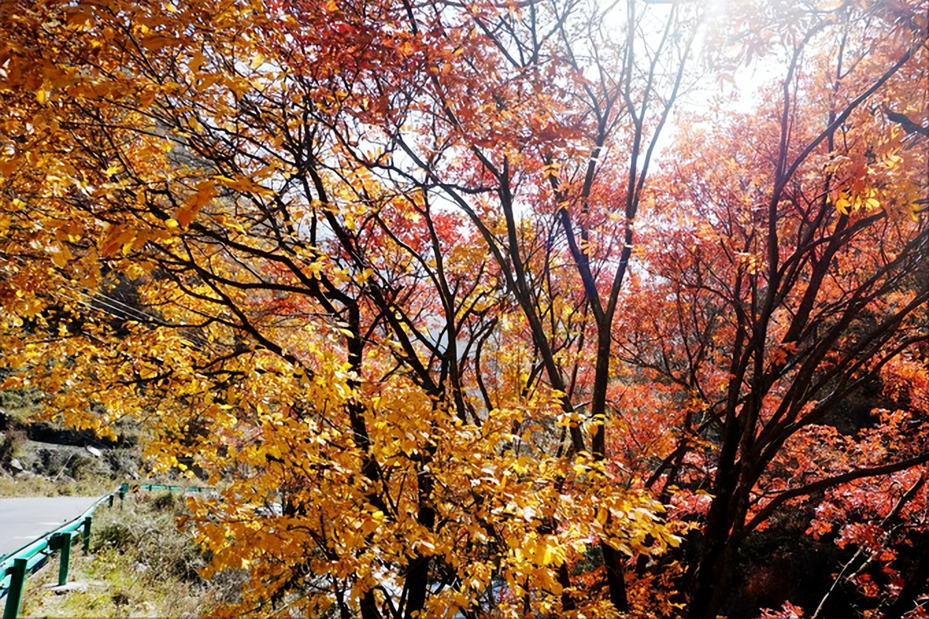 卡龙沟景区有什么好玩的,卡龙沟穿越松潘