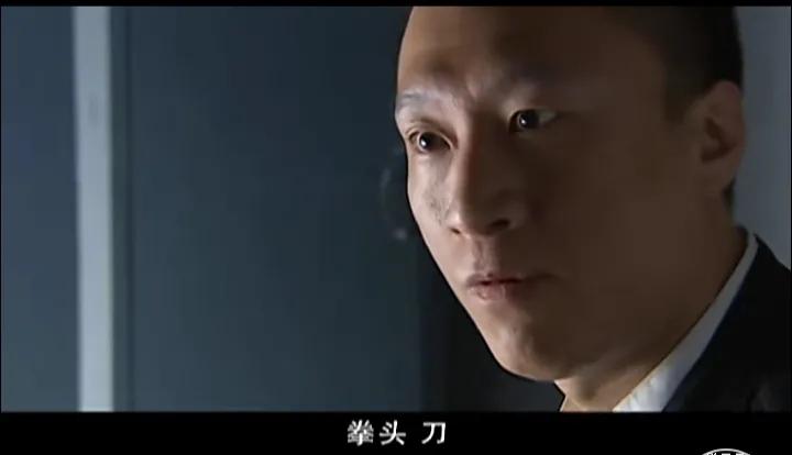 张世豪刘华强兆辉煌,征服刘华强和张世豪