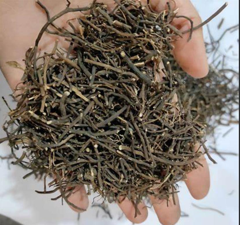 治各种息肉的四味中药,中医四味药消除息肉