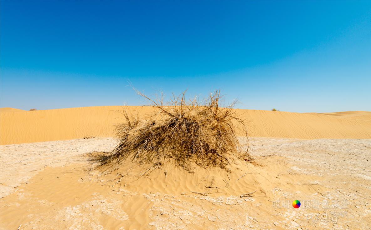女司机带娃去新疆自驾游,带着女司机自驾游兰州