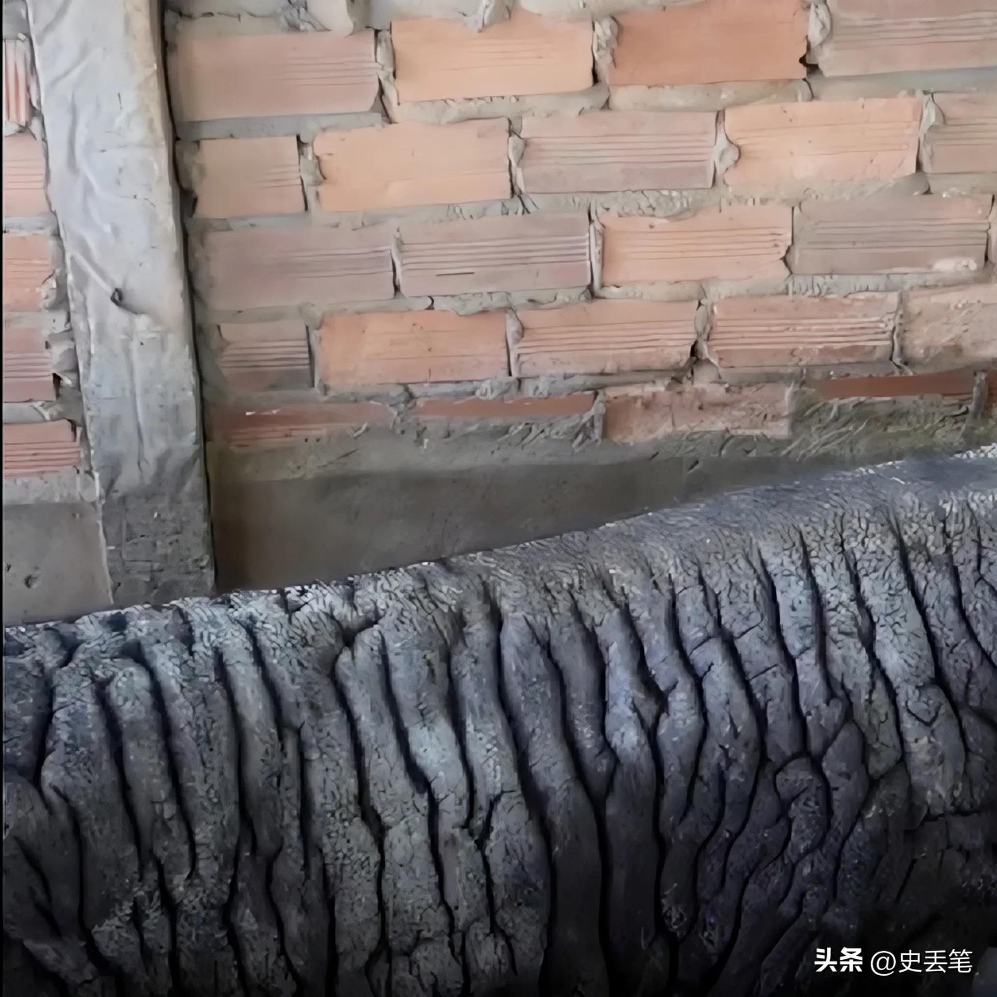 越南大妈家里养了只皱皮老母猪，称低于115万坚决不卖