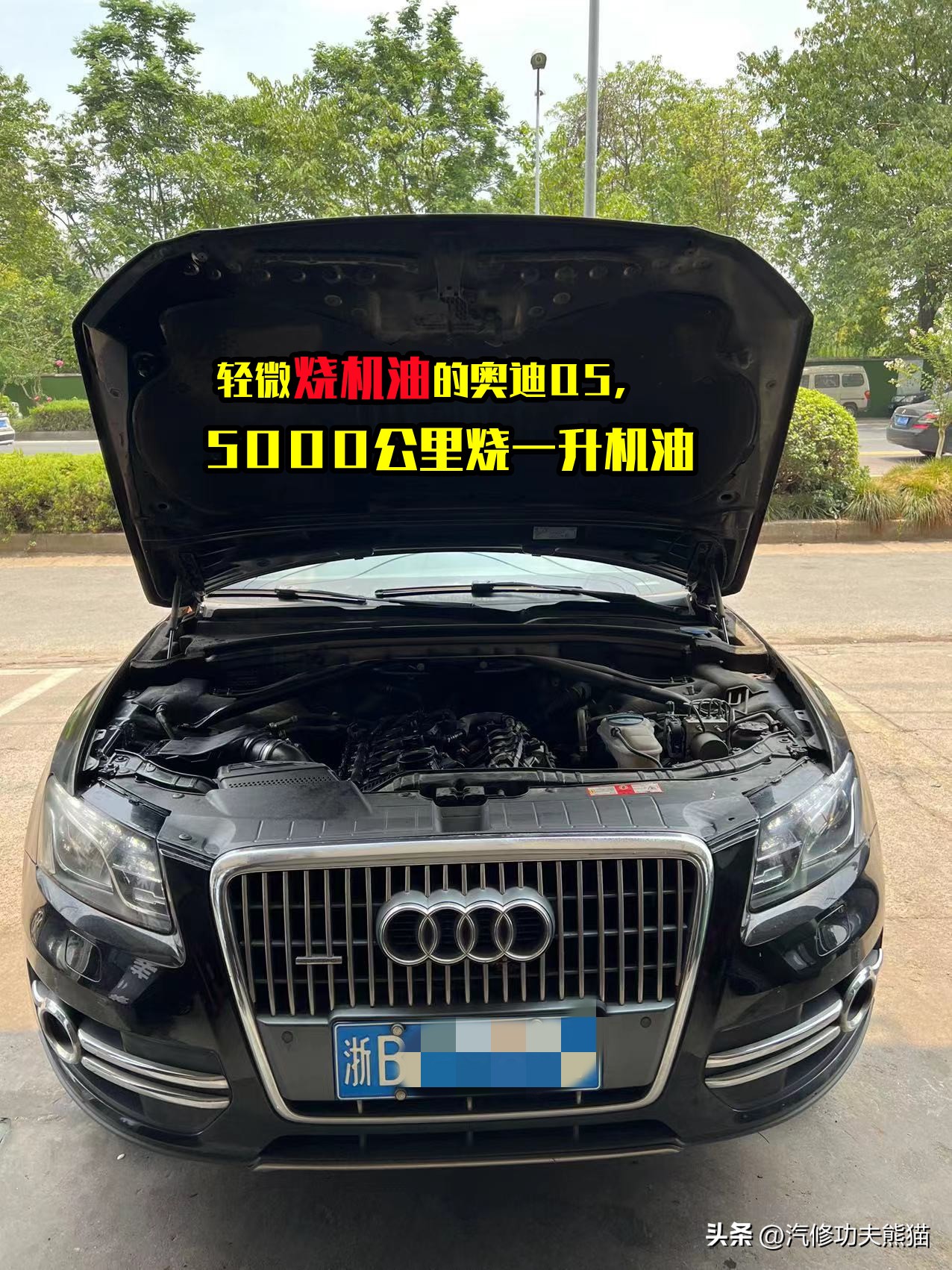 奥迪q5烧机油大修需要多少钱,怎样能解决轻微烧机油