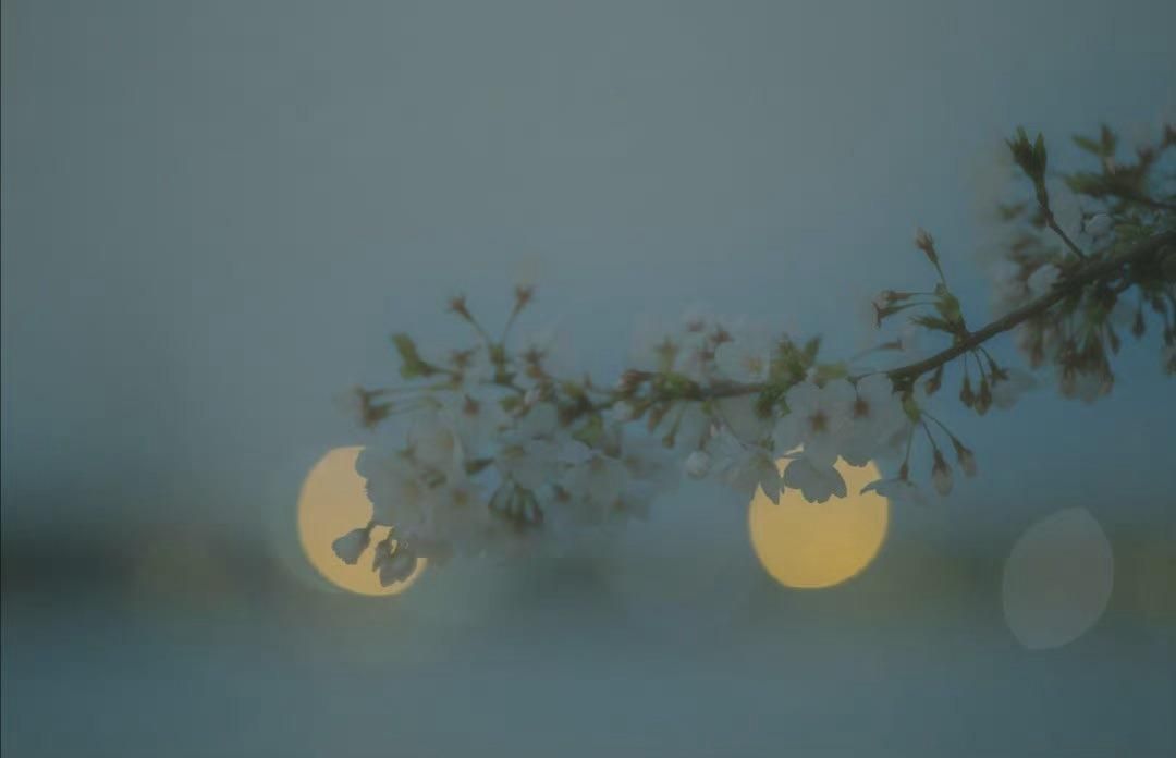 古今中外经典古诗词,经典的必背古诗词名句