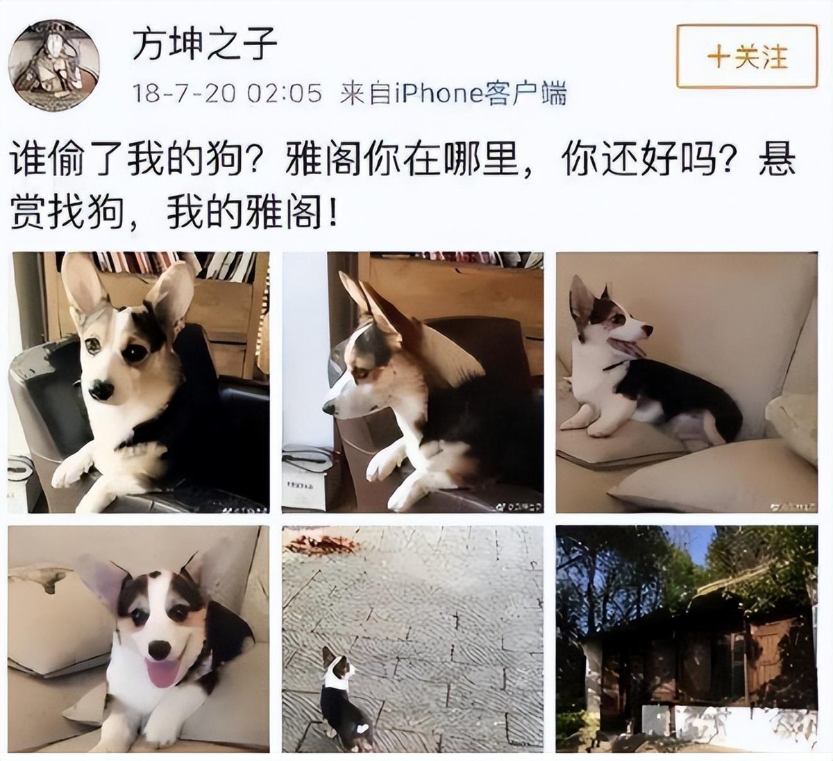 以为是假新闻其实是真新闻,撒贝宁郭京飞郭麒麟