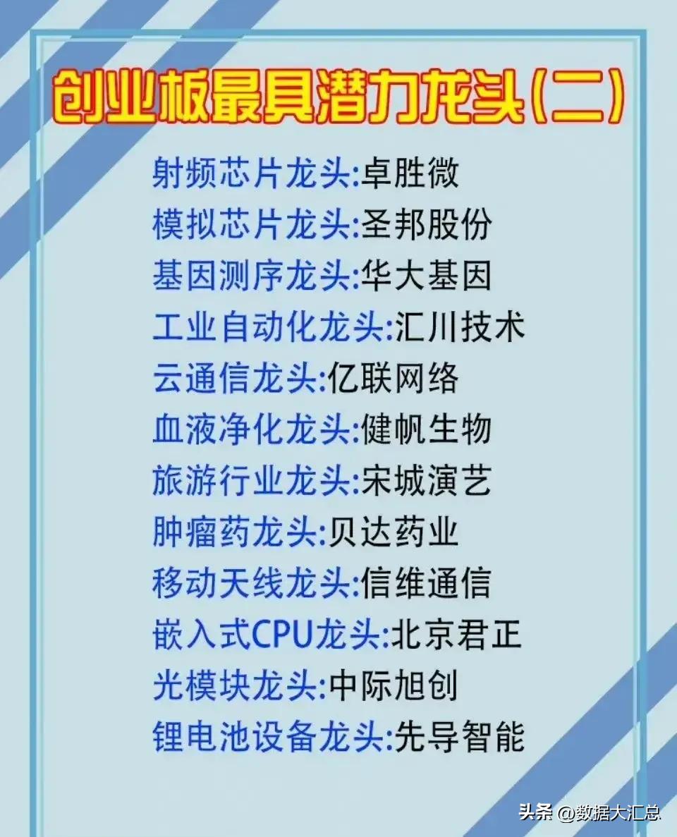 中成药股细分龙头,行业龙头板块有哪些股票