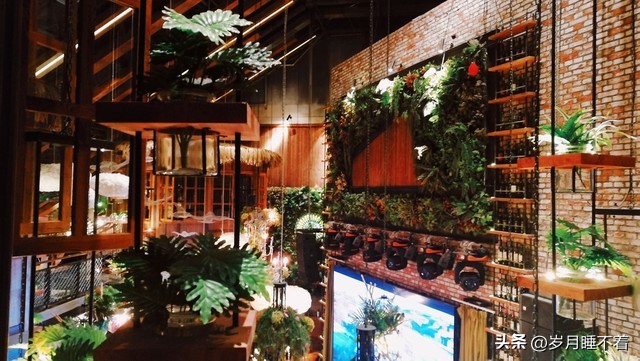 瞬间提升室内高级感的5种绿植,森系装修风格怎么在效果上展现