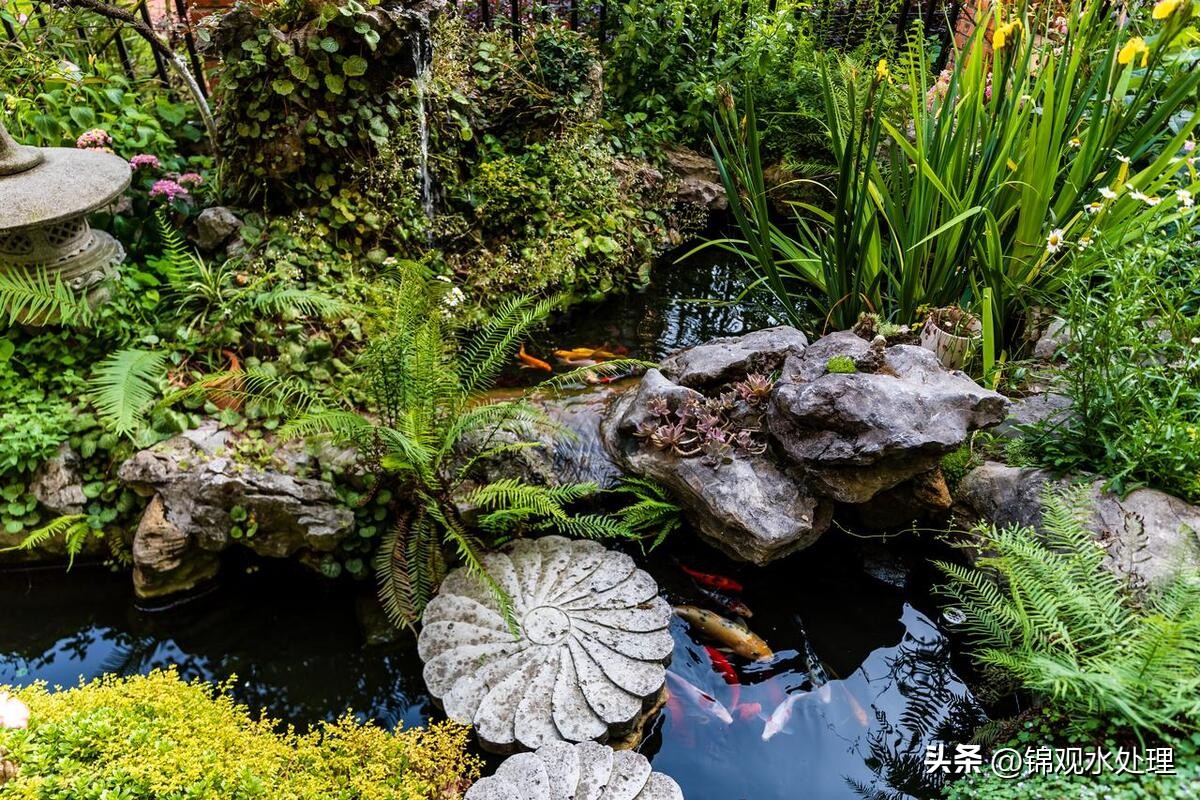 鱼池水面有气泡和发臭怎样解决,鱼池水质恶化如何处理