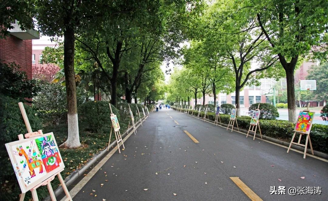 体艺节绽放青春,强健体魄展青春风采