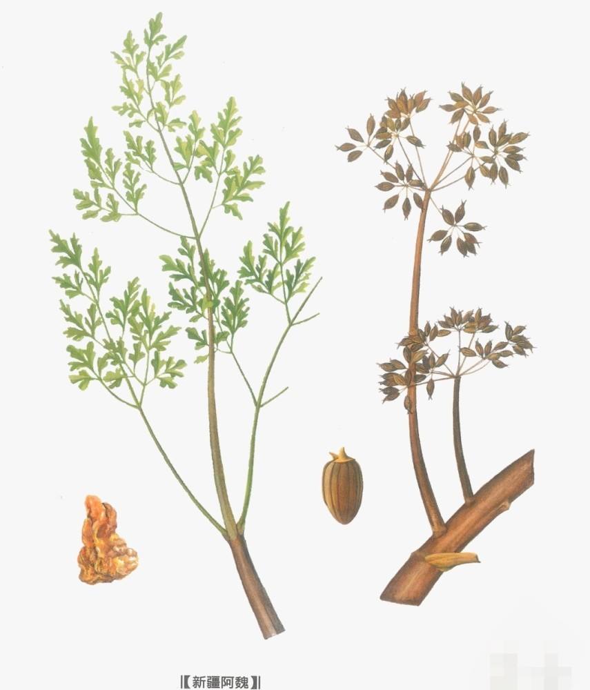 考古挖古墓挖出来自己的先人,考古学家挖古墓发现是自己家祖坟