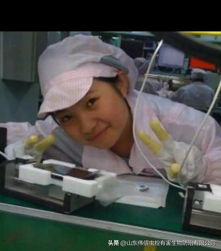 济南灭蟑螂公司哪家正规,济南家里灭蟑螂哪家靠谱