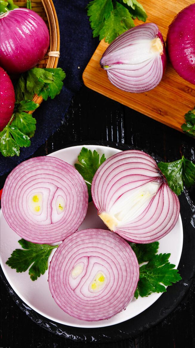 养狗吃什么营养品防止狗生病,养狗喂什么饲料狗狗长得快