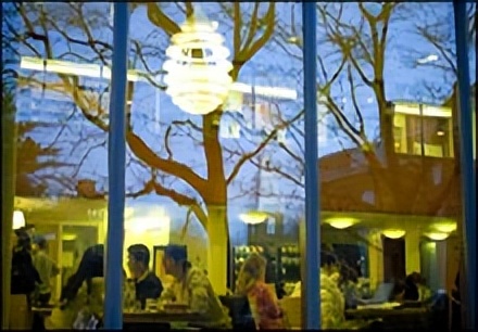 休斯顿大学—被《美国新闻与世界报道》评为种族最多元化大学之一