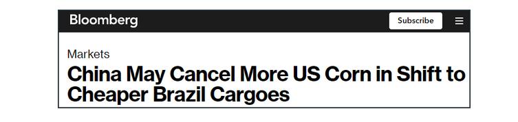 中国买家转向购买巴西玉米,退货美国订单,美媒:损害我们利益