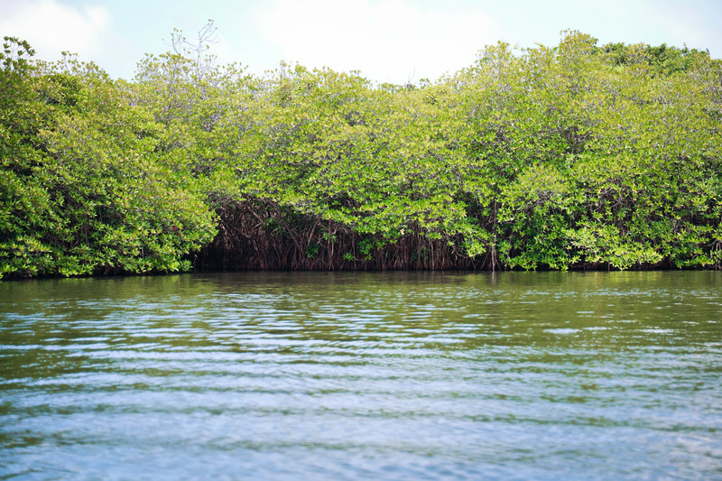 斯里兰卡旅游攻略必去景点,斯里兰卡最佳旅游攻略