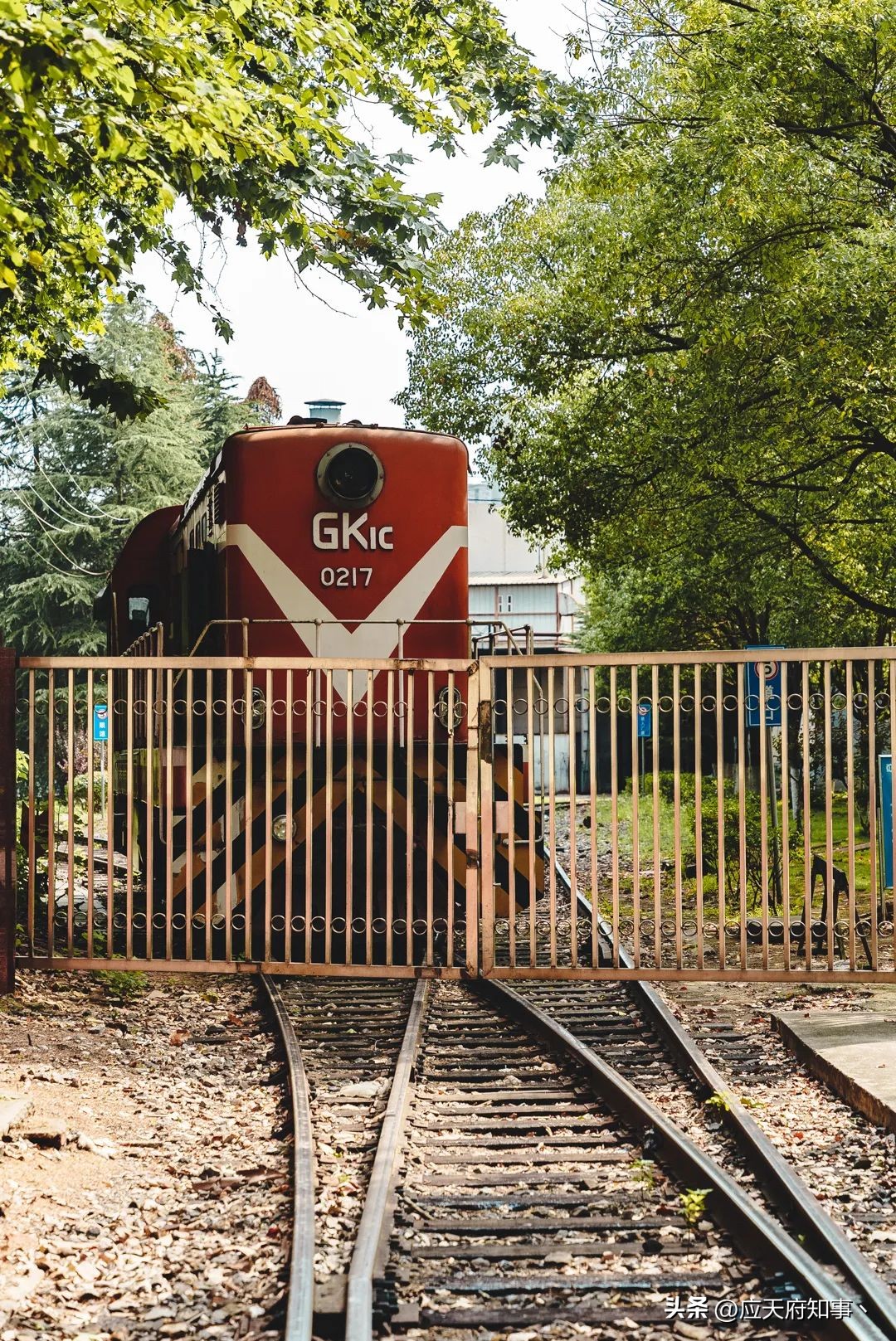 被城市抛弃的地方,被抛弃的城市现状