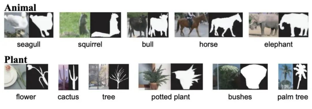 医学影像目标检测框架,开源数据集目标检测
