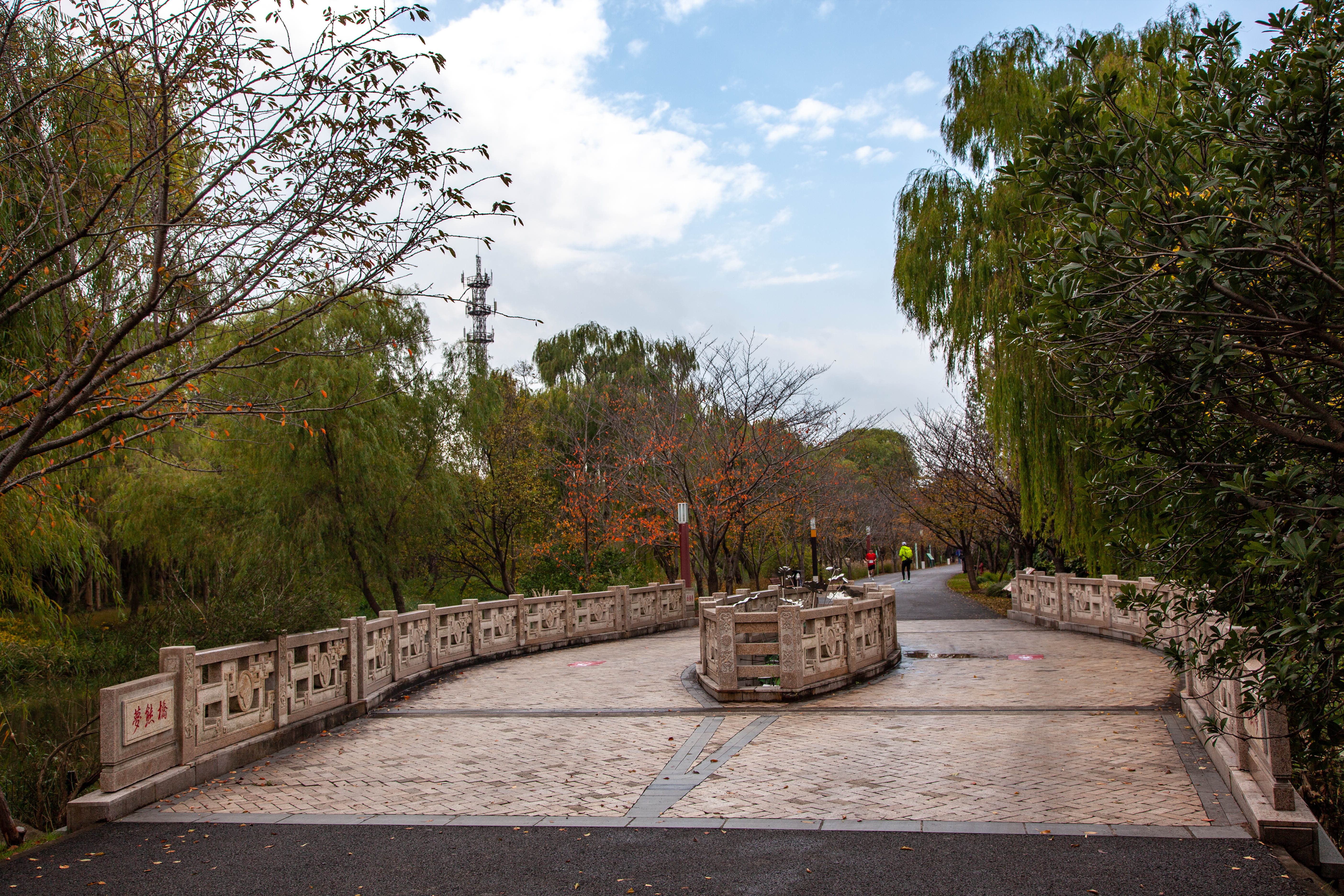 宝山顾村历史,上海宝山顾村老街