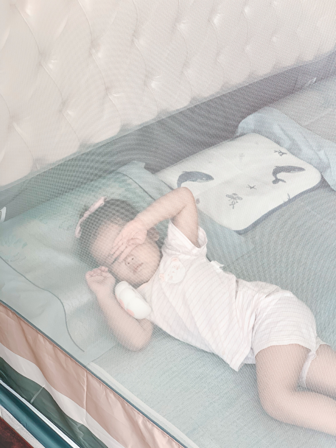 有一种蚊帐，叫“别人家的蚊帐”！我承认我慕了