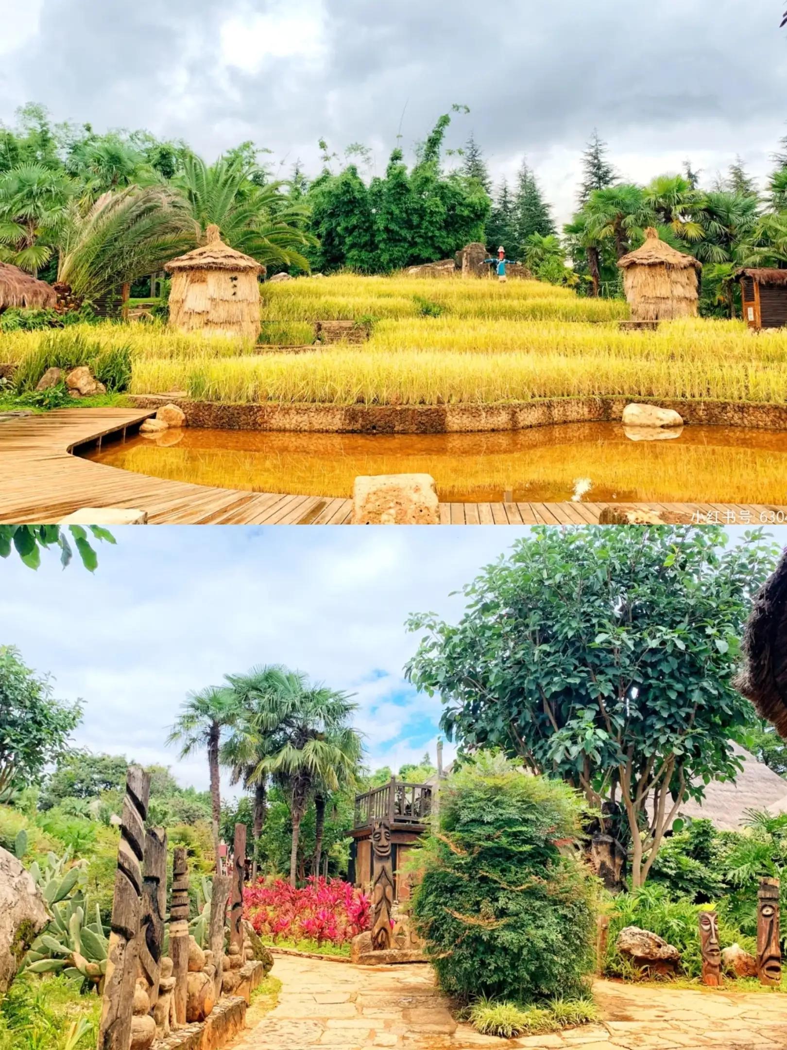 昆明旅游必去的地方大全,昆明值得旅游的几个地方