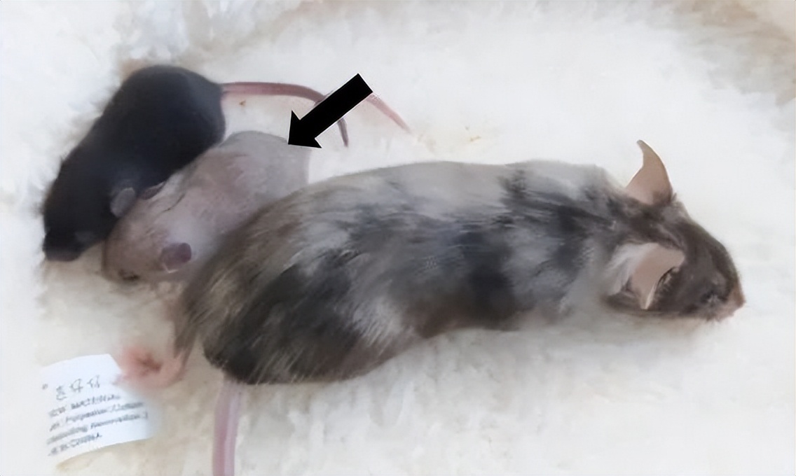 云舟生物科技最新消息,云舟生物新建项目