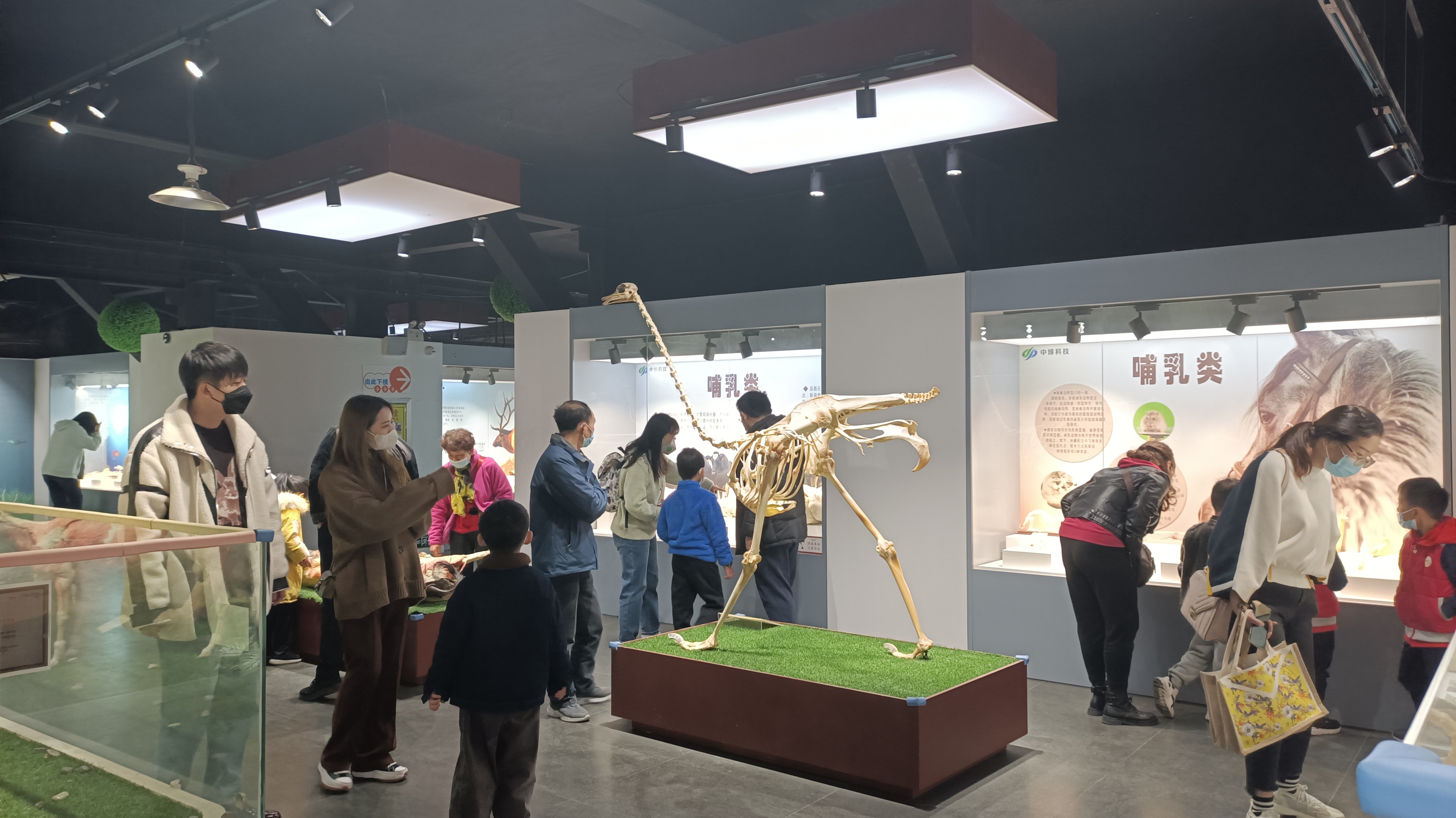 郑州最适合踏青赏花爬山的地方,郑州春日赏花好去处推荐