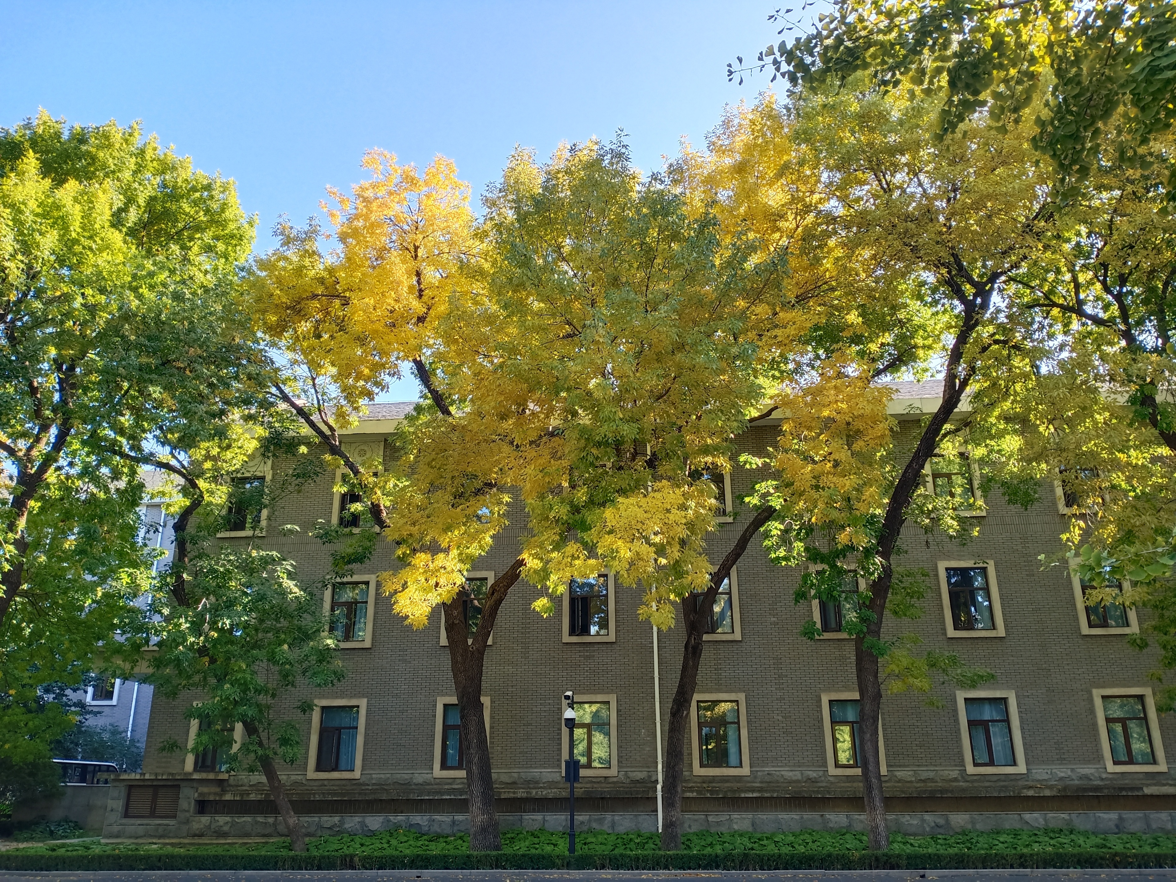 人在画中游图片,人在画中游视频大全