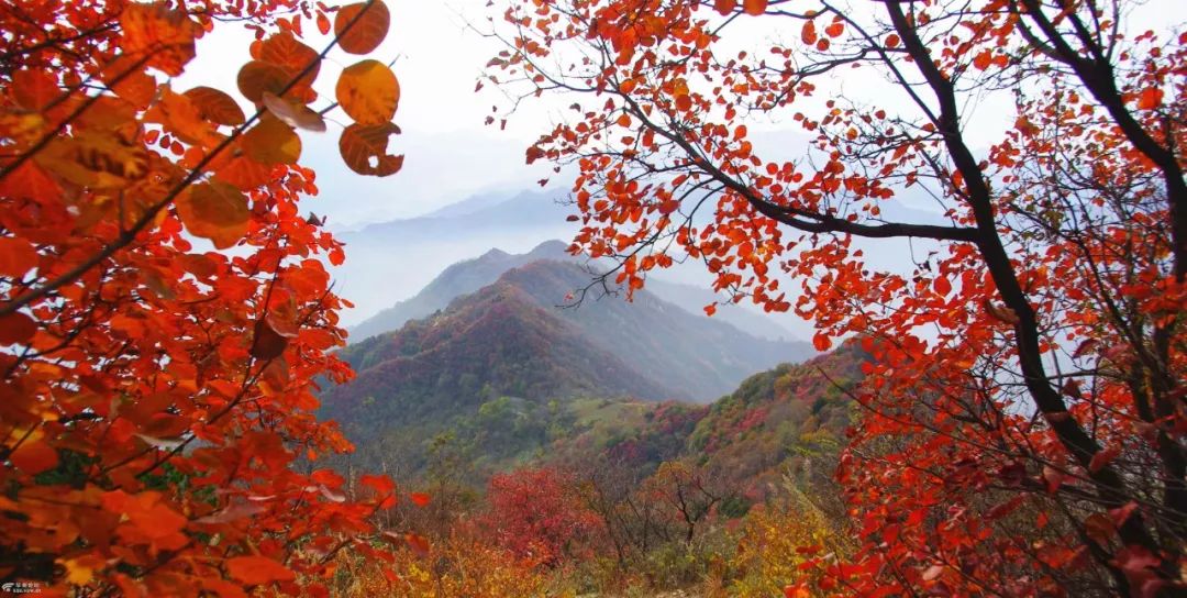 广州台山市二日游,台山川山群岛一日游