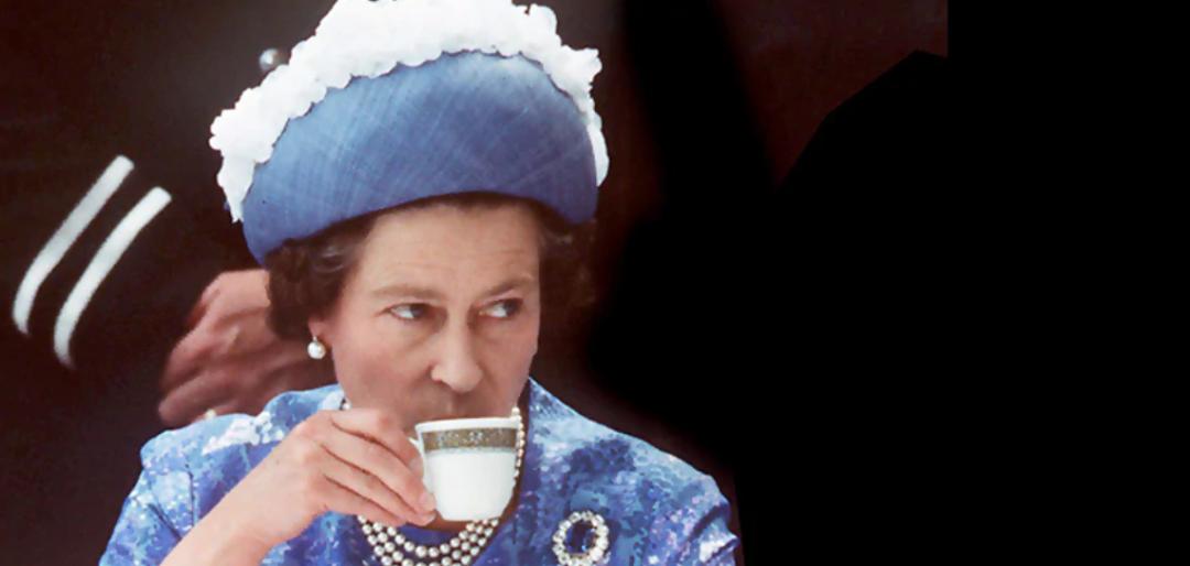 陆羽茶经知识,陆羽知识