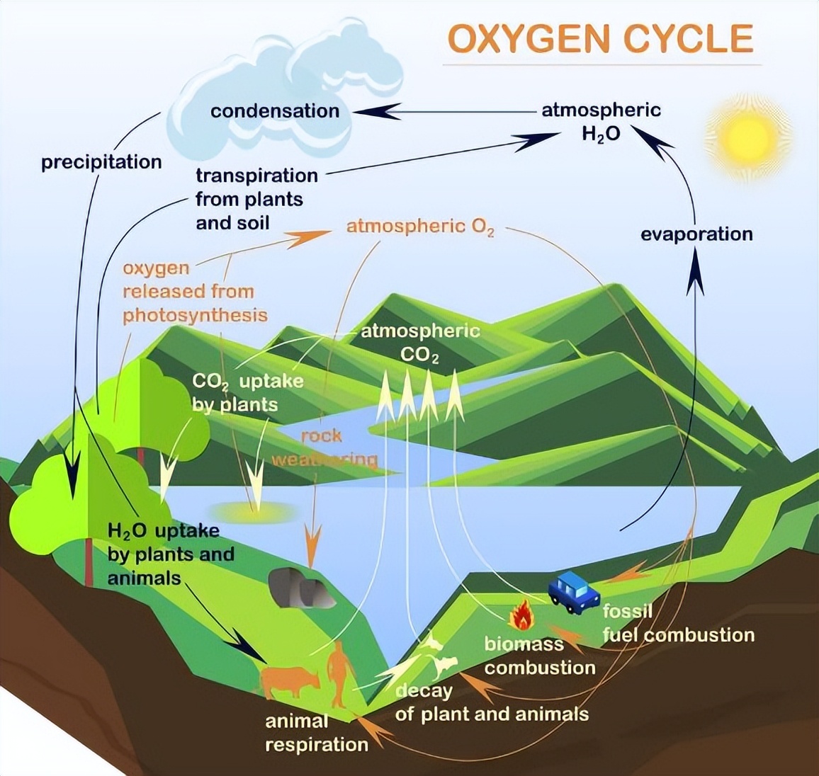 氧疗方式的选择及注意事项,氧疗种类