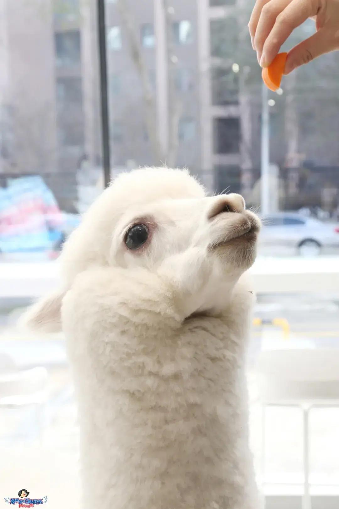 12月的第一天就等不及想炫耀这家女生天堂