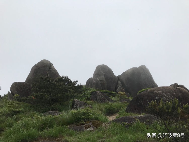 五府岗：华东第三高峰，有一条许多人还不知道的登顶路线
