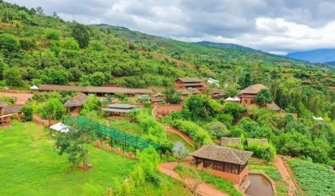 3月昆明踏青好去处,昆明周边游玩春天看花好去处