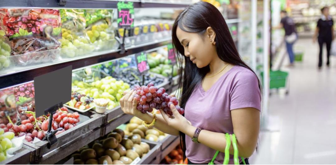 澳洲留学职业规划费用标准,澳洲留学每日开销