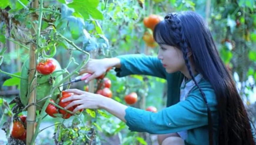 李子柒视频最新外网评论,李子柒最新视频外网评论