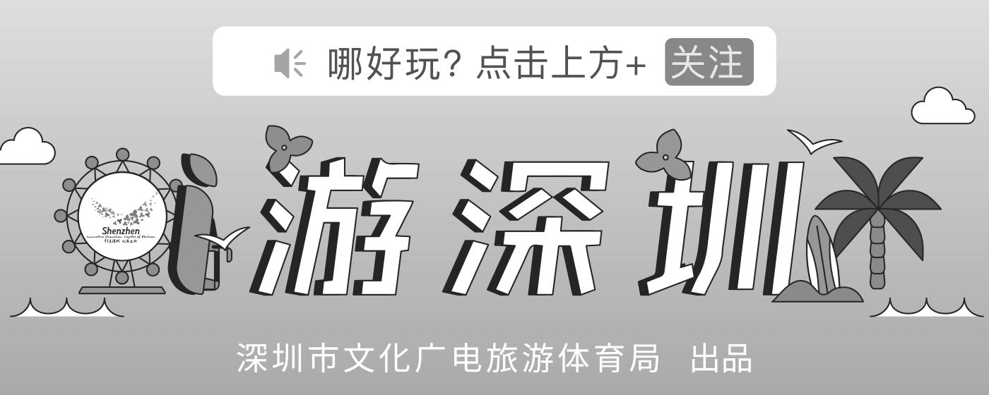 深圳蛇口至海岛航线复航,深圳航空航线图