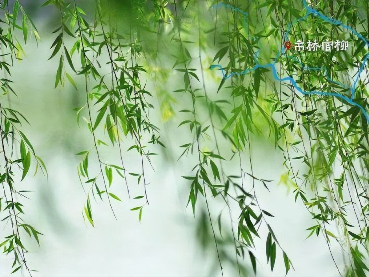 微生物菌群最新研究进展,一号菌群科研新成果