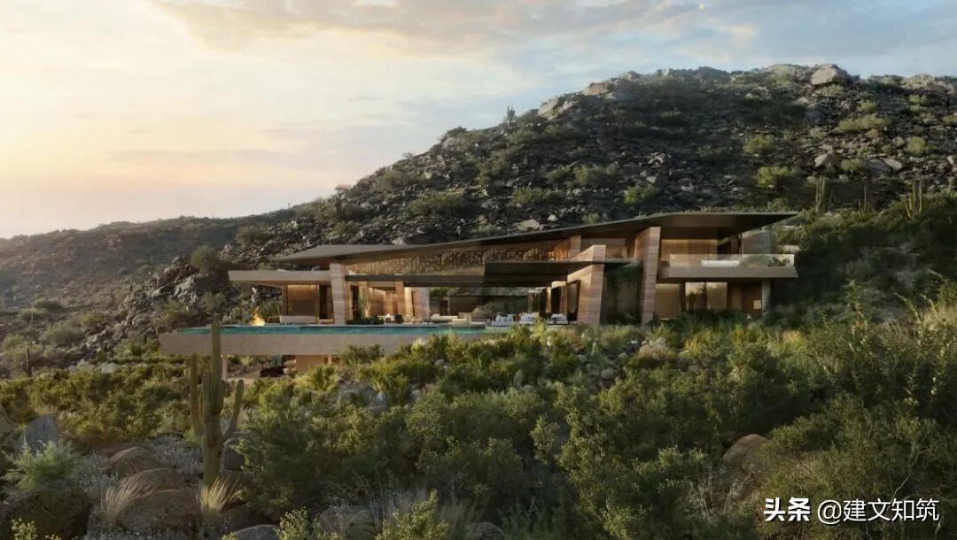 waf2023世锦赛,waf国内排名