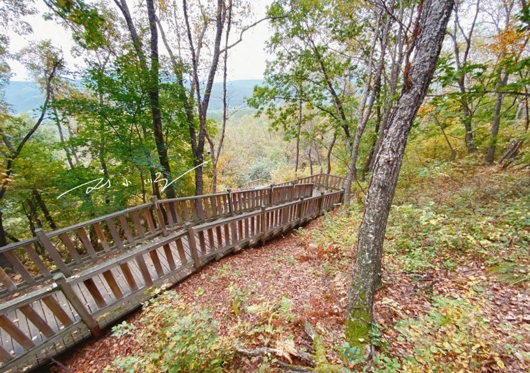 延吉的免费小众景点,游览延吉视频