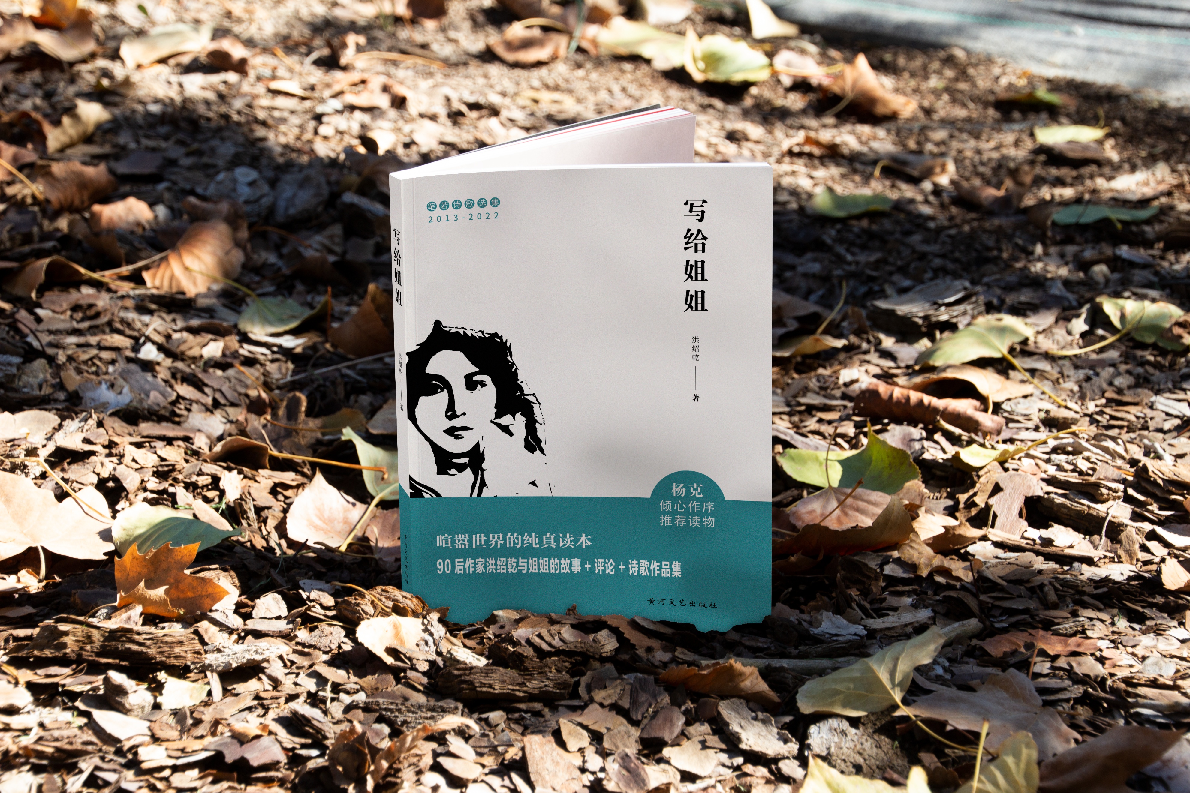 洪绍乾全部作品,洪绍乾最经典的一首诗